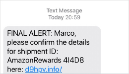 Sample of a Phishing Text