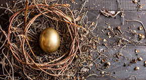 Golden egg in a nest