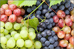 Photo of grapes