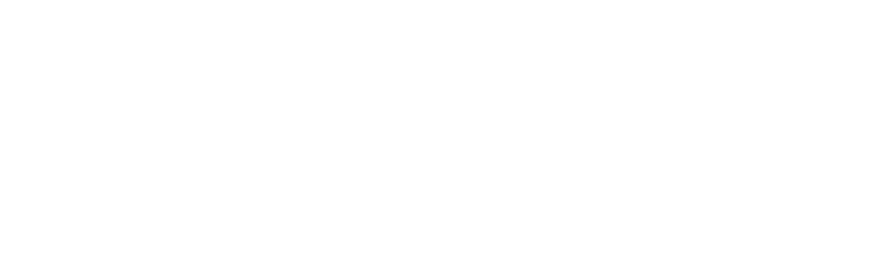 EverSafe Logo in White